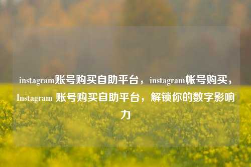 instagram账号购买自助平台，instagram帐号购买，Instagram 账号购买自助平台，解锁你的数字影响力