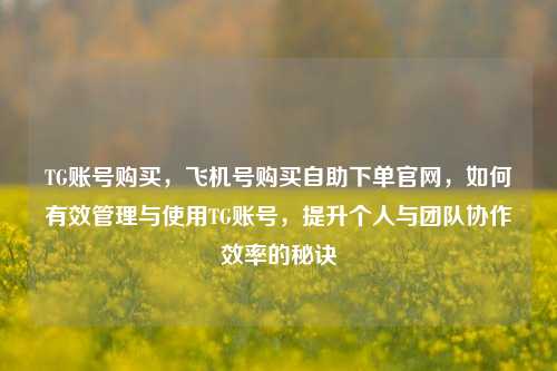 TG账号购买，飞机号购买自助下单官网，如何有效管理与使用TG账号，提升个人与团队协作效率的秘诀