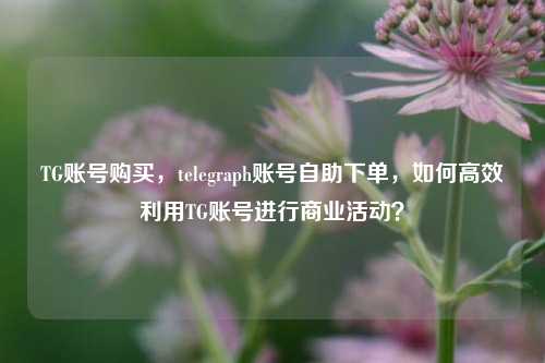TG账号购买，telegraph账号自助下单，如何高效利用TG账号进行商业活动？