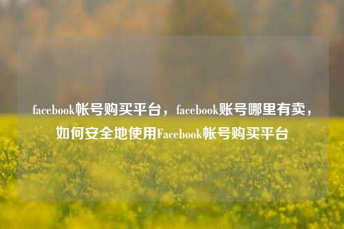 facebook帐号购买平台，facebook账号哪里有卖，如何安全地使用Facebook帐号购买平台