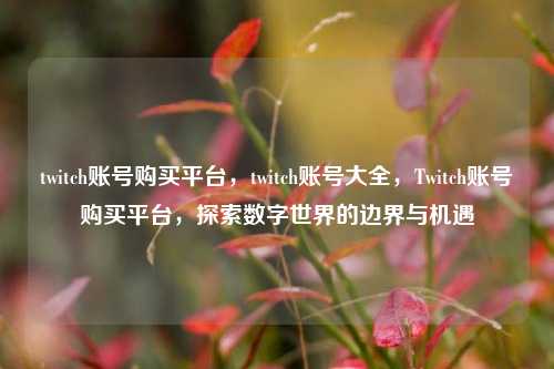 twitch账号购买平台，twitch账号大全，Twitch账号购买平台，探索数字世界的边界与机遇