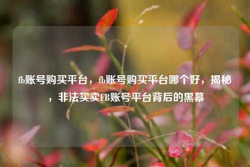 fb账号购买平台，fb账号购买平台哪个好，揭秘，非法买卖FB账号平台背后的黑幕