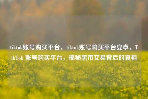 tiktok账号购买平台，tiktok账号购买平台安卓，TikTok 账号购买平台，揭秘黑市交易背后的真相