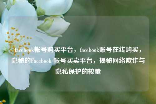 facebook帐号购买平台，facebook账号在线购买，隐秘的Facebook 帐号买卖平台，揭秘网络欺诈与隐私保护的较量