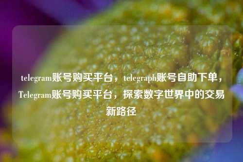 telegram账号购买平台，telegraph账号自助下单，Telegram账号购买平台，探索数字世界中的交易新路径