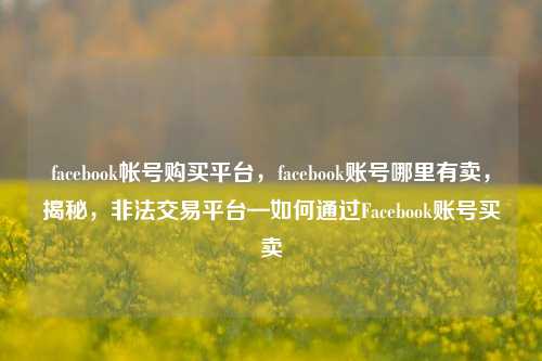 facebook帐号购买平台，facebook账号哪里有卖	，揭秘，非法交易平台—如何通过Facebook账号买卖  第1张