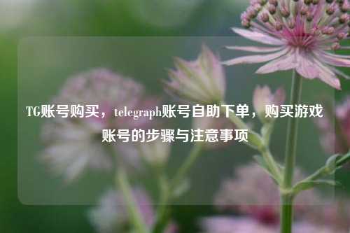 TG账号购买，telegraph账号自助下单，购买游戏账号的步骤与注意事项