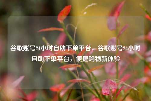 谷歌账号24小时自助下单平台，谷歌账号24小时自助下单平台	，便捷购物新体验  第1张