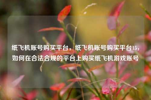 纸飞机账号购买平台，纸飞机账号购买平台15，如何在合法合规的平台上购买纸飞机游戏账号