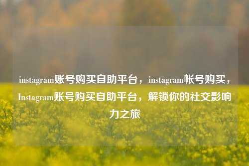 instagram账号购买自助平台，instagram帐号购买，Instagram账号购买自助平台，解锁你的社交影响力之旅