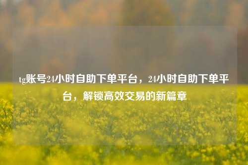 tg账号24小时自助下单平台，24小时自助下单平台，解锁高效交易的新篇章
