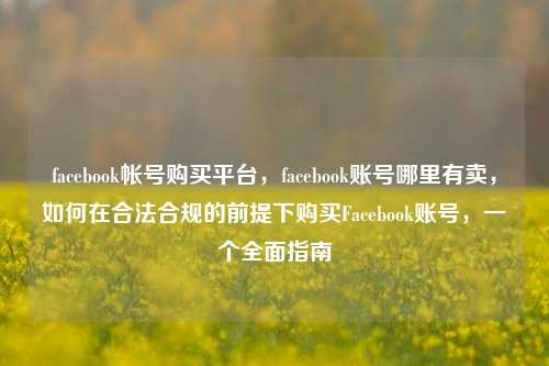 facebook帐号购买平台，facebook账号哪里有卖，如何在合法合规的前提下购买Facebook账号，一个全面指南