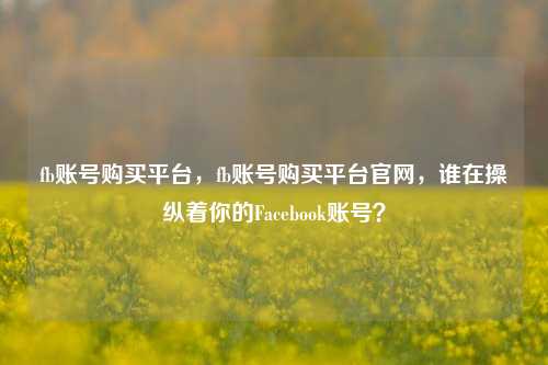 fb账号购买平台，fb账号购买平台官网，谁在操纵着你的Facebook账号？