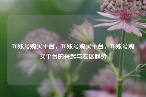 TG账号购买平台，TG账号购买平台，TG账号购买平台的兴起与发展趋势