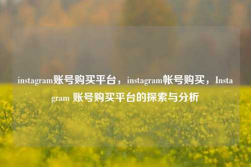 instagram账号购买平台，instagram帐号购买，Instagram 账号购买平台的探索与分析