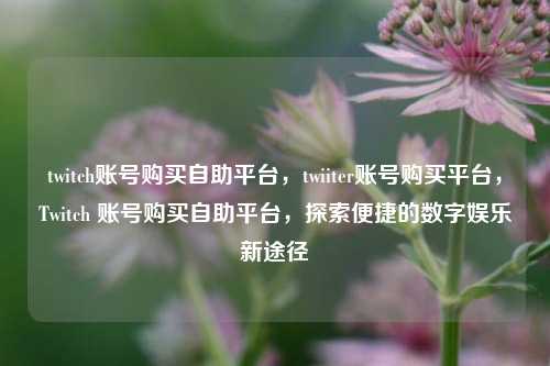 twitch账号购买自助平台，twiiter账号购买平台，Twitch 账号购买自助平台，探索便捷的数字娱乐新途径