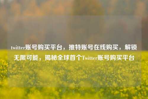 twitter账号购买平台，推特账号在线购买，解锁无限可能，揭秘全球首个Twitter账号购买平台