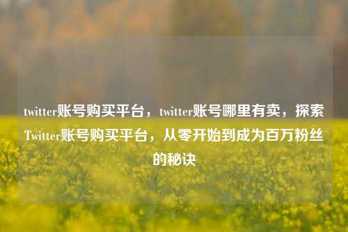 twitter账号购买平台，twitter账号哪里有卖，探索Twitter账号购买平台，从零开始到成为百万粉丝的秘诀
