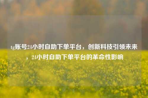 tg账号24小时自助下单平台，创新科技引领未来，24小时自助下单平台的革命性影响