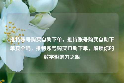 推特账号购买自助下单，推特账号购买自助下单安全吗，推特账号购买自助下单，解锁你的数字影响力之旅