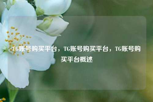 TG账号购买平台，TG账号购买平台，TG账号购买平台概述