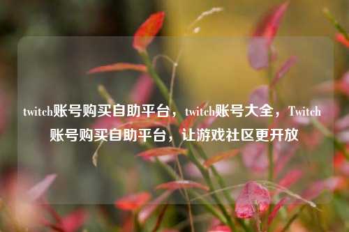 twitch账号购买自助平台，twitch账号大全，Twitch 账号购买自助平台，让游戏社区更开放