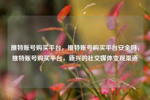 推特账号购买平台，推特账号购买平台安全吗，推特账号购买平台，新兴的社交媒体变现渠道