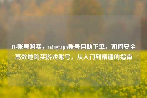 TG账号购买，telegraph账号自助下单，如何安全高效地购买游戏账号，从入门到精通的指南