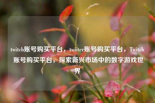 twitch账号购买平台，twiiter账号购买平台，Twitch 账号购买平台，探索新兴市场中的数字游戏世界