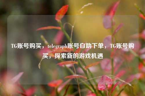 TG账号购买，telegraph账号自助下单，TG账号购买，探索新的游戏机遇