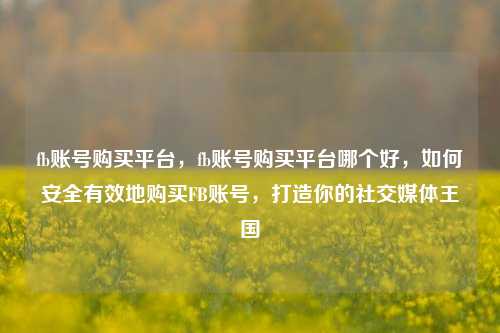 fb账号购买平台，fb账号购买平台哪个好，如何安全有效地购买FB账号，打造你的社交媒体王国