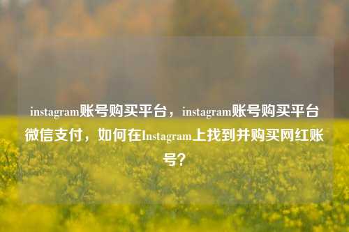 instagram账号购买平台，instagram账号购买平台微信支付，如何在Instagram上找到并购买网红账号？