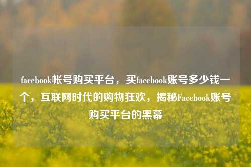 facebook帐号购买平台，买facebook账号多少钱一个，互联网时代的购物狂欢，揭秘Facebook账号购买平台的黑幕