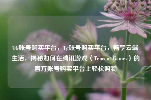 TG账号购买平台，Tg账号购买平台，畅享云端生活，揭秘如何在腾讯游戏（Tencent Games）的官方账号购买平台上轻松购物