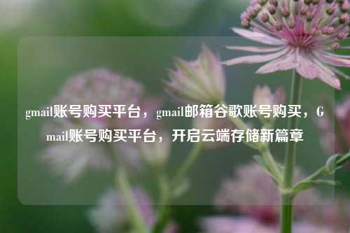 gmail账号购买平台，gmail邮箱谷歌账号购买，Gmail账号购买平台，开启云端存储新篇章