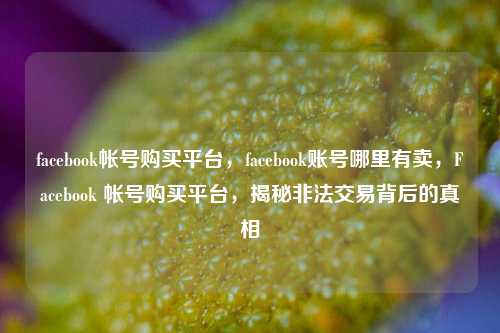 facebook帐号购买平台，facebook账号哪里有卖，Facebook 帐号购买平台，揭秘非法交易背后的真相