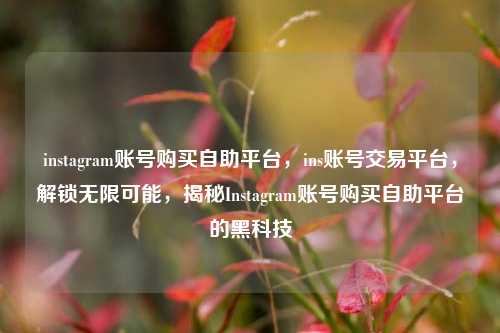 instagram账号购买自助平台，ins账号交易平台，解锁无限可能，揭秘Instagram账号购买自助平台的黑科技