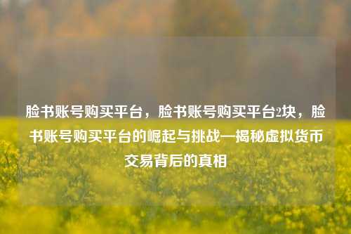 脸书账号购买平台，脸书账号购买平台2块，脸书账号购买平台的崛起与挑战—揭秘虚拟货币交易背后的真相