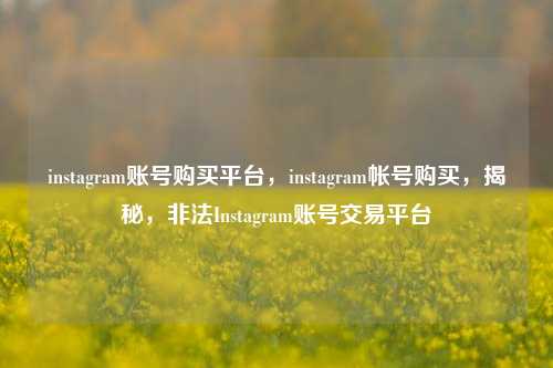instagram账号购买平台，instagram帐号购买，揭秘，非法Instagram账号交易平台