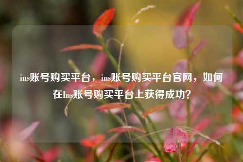 ins账号购买平台，ins账号购买平台官网，如何在Ins账号购买平台上获得成功？