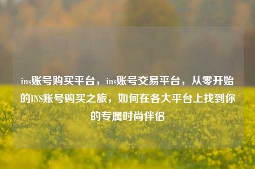 ins账号购买平台，ins账号交易平台，从零开始的INS账号购买之旅，如何在各大平台上找到你的专属时尚伴侣