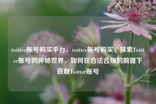 twitter账号购买平台，twitter帐号购买，探索Twitter账号的神秘世界，如何在合法合规的前提下获取Twitter账号