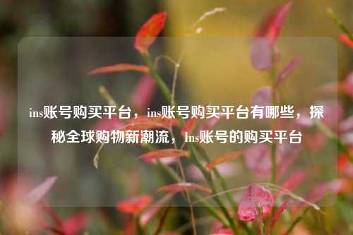 ins账号购买平台，ins账号购买平台有哪些，探秘全球购物新潮流，Ins账号的购买平台