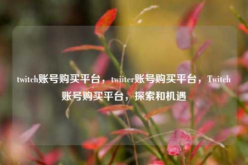 twitch账号购买平台，twiiter账号购买平台，Twitch账号购买平台，探索和机遇