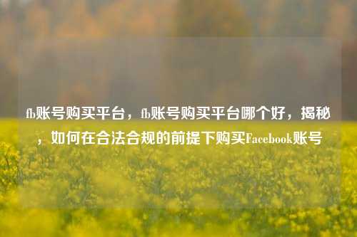 fb账号购买平台，fb账号购买平台哪个好，揭秘，如何在合法合规的前提下购买Facebook账号