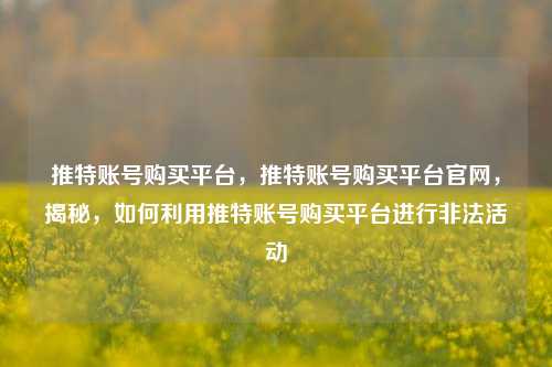推特账号购买平台，推特账号购买平台官网，揭秘，如何利用推特账号购买平台进行非法活动