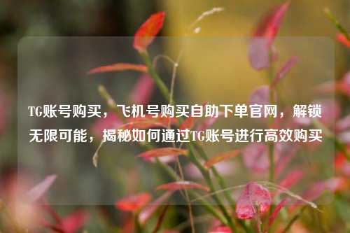 TG账号购买，飞机号购买自助下单官网，解锁无限可能，揭秘如何通过TG账号进行高效购买