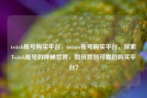 twitch账号购买平台，twiiter账号购买平台，探索Twitch账号的神秘世界，如何找到可靠的购买平台？