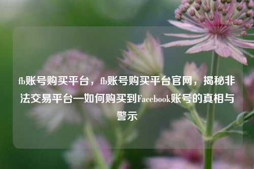 fb账号购买平台，fb账号购买平台官网，揭秘非法交易平台—如何购买到Facebook账号的真相与警示  第1张