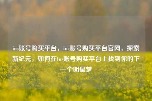 ins账号购买平台，ins账号购买平台官网，探索新纪元，如何在Ins账号购买平台上找到你的下一个明星梦